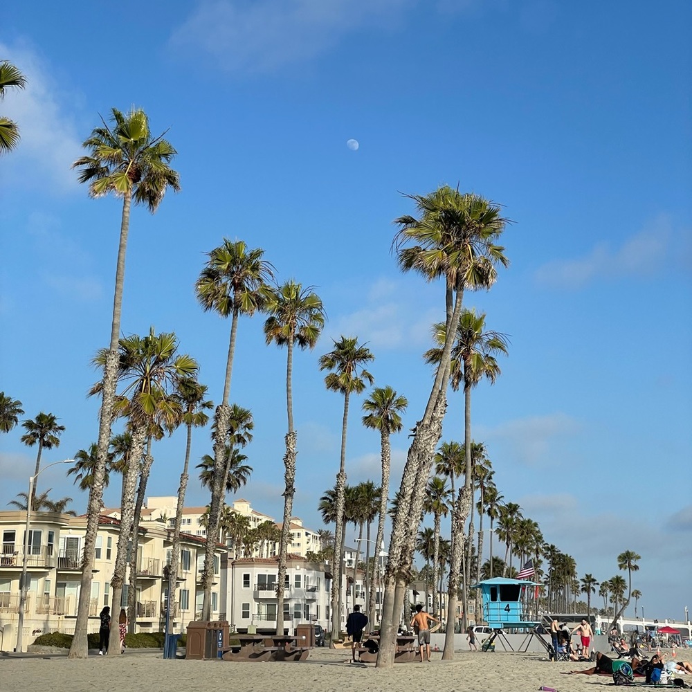 Meet your Posher, Alison